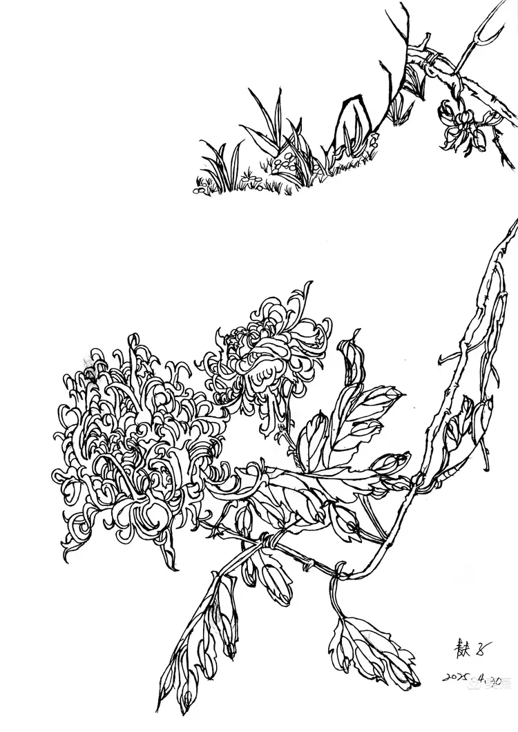 悉数时光之次第花开